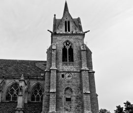 DSC_1564_DxO